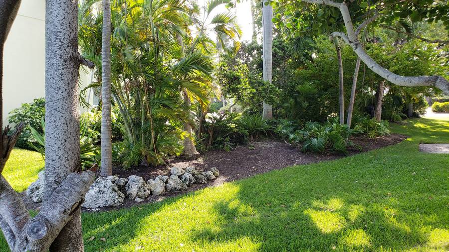 Landscaping