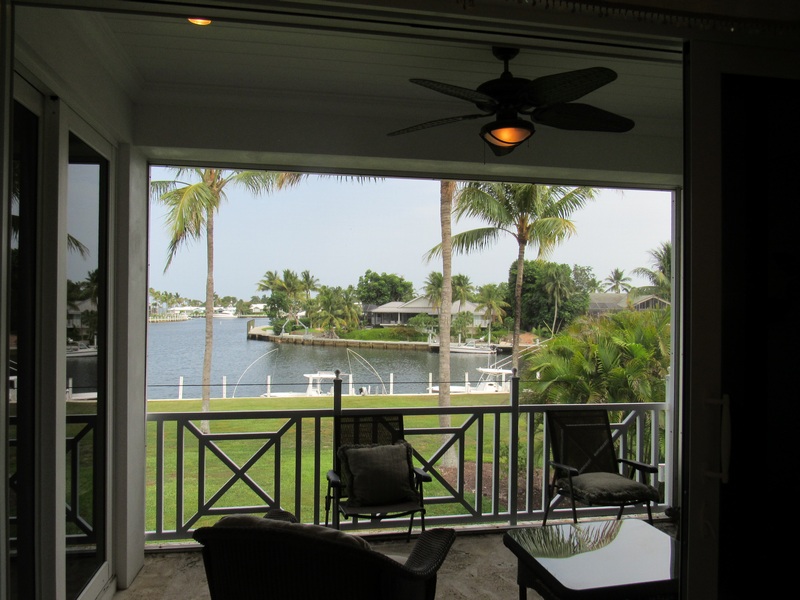 Patio View