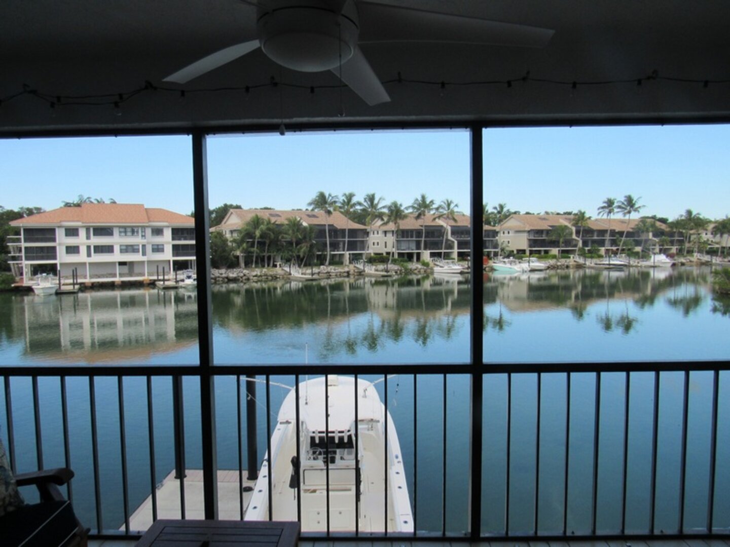 View From Patio